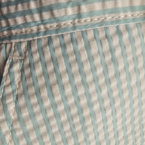 TRUE FLIES Mens Gasparilla Blue & White Seersucker Shorts - Picture 7 of 9